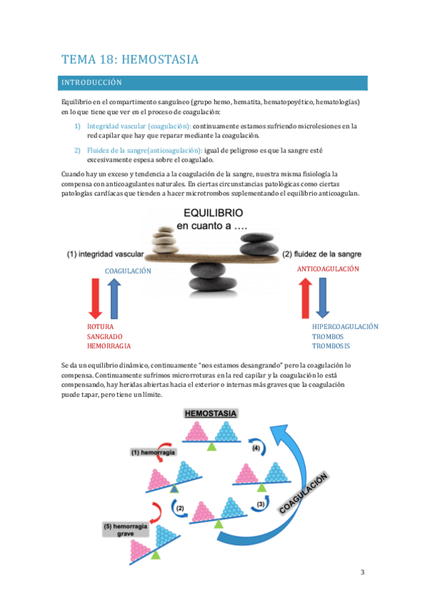 Miniatura del documento APUNTES-FISIOLOGIA-TEMA-18.pdf