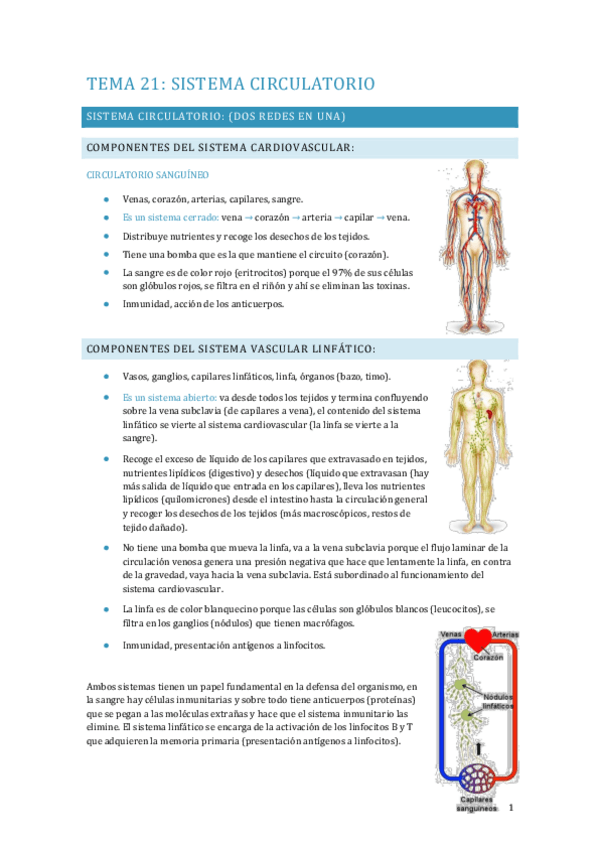 Miniatura del documento APUNTES-FISIOLOGIA-TEMA-21.pdf