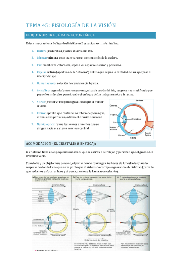 Miniatura del documento APUNTES-FISIOLOGIA-TEMAS-45-48.pdf