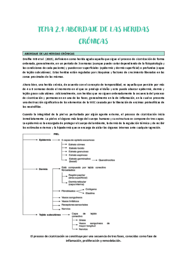 Miniatura del documento TEMA-2.1-VALORACION-DE-LAS-HERIDAS-CRONICAS.pdf