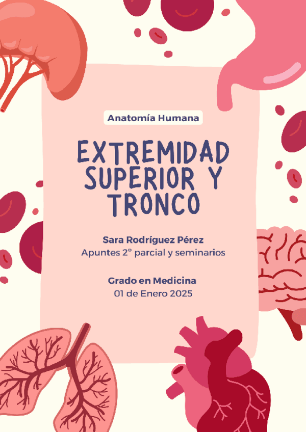 Miniatura del documento Extremitat-superior-i-Tronc-2n-parcial.pdf