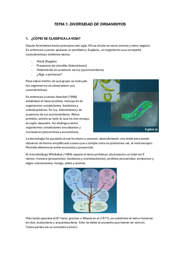 Miniatura del documento Tema-1-zoologia-apuntes.pdf