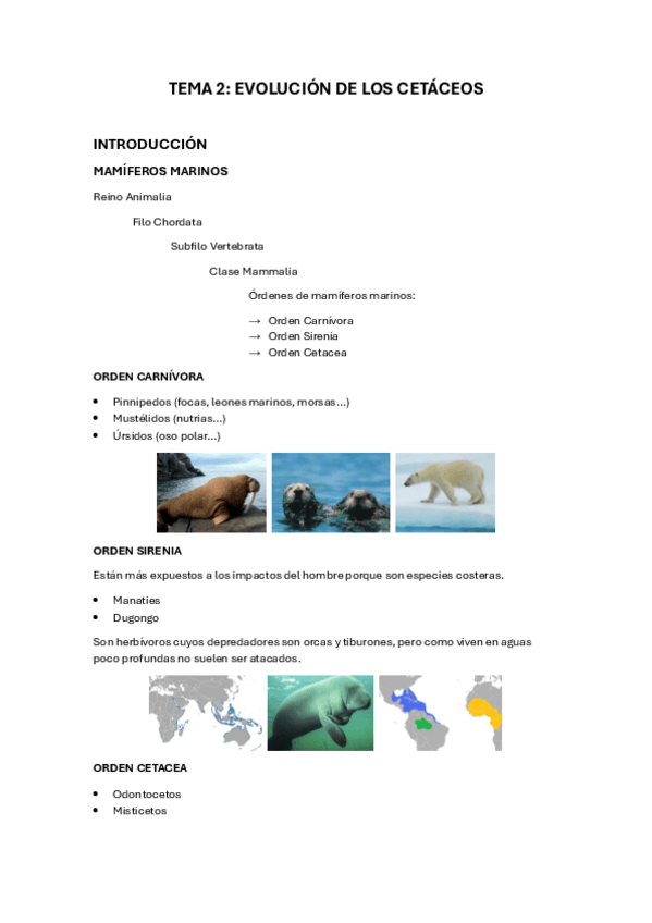 Miniatura del documento T2-resumen-bio-de-cetaceos.pdf