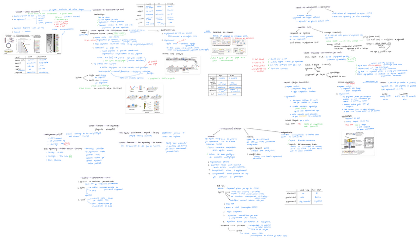 Miniatura del documento Tema-7.-Tecniques-de-sequenciacio-massiva-de-DNA.pdf