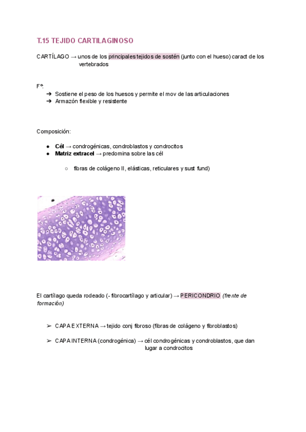 Miniatura del documento T.15-BIOLOGIA.pdf
