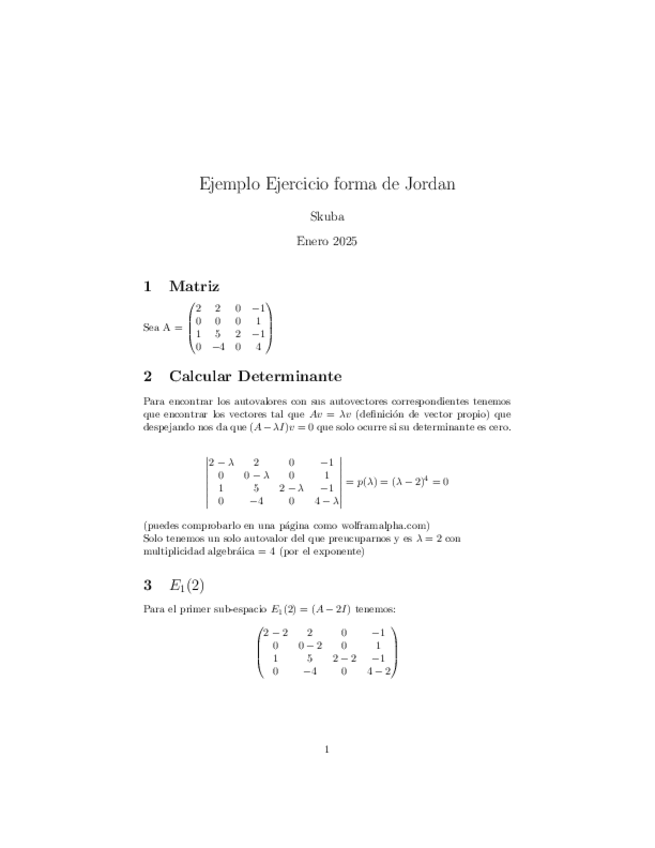 Miniatura del documento EjercicioJordanResueltoExplicado.pdf