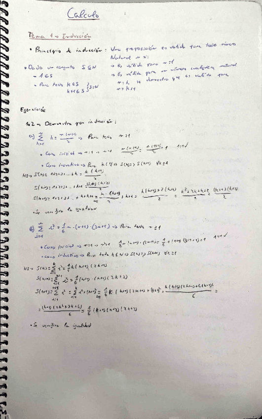 Miniatura del documento Induccion-conjuntos-y-funciones.pdf
