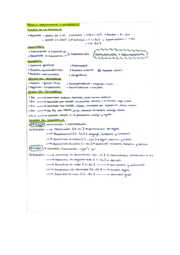 Miniatura del documento Resumenes-infancia-a-mano.pdf