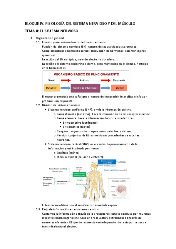 Miniatura del documento BLOQUE-IV-fisio.pdf