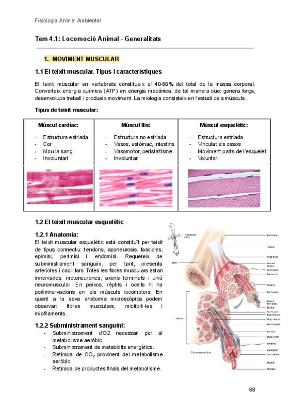 Miniatura del documento BLOC-2-FAA.pdf
