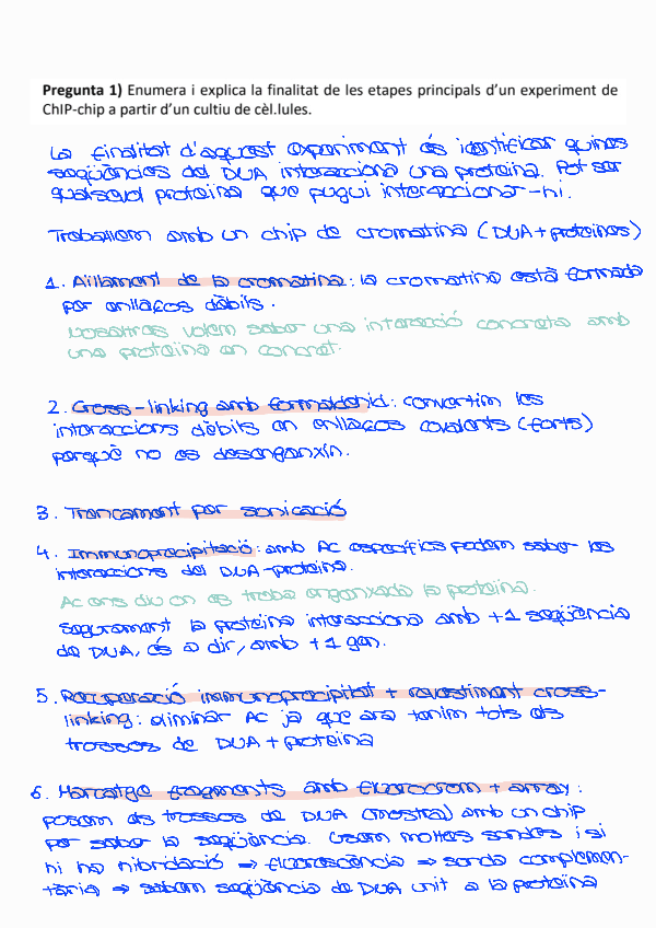 Miniatura del documento Exercicis-escrits-resolts.pdf