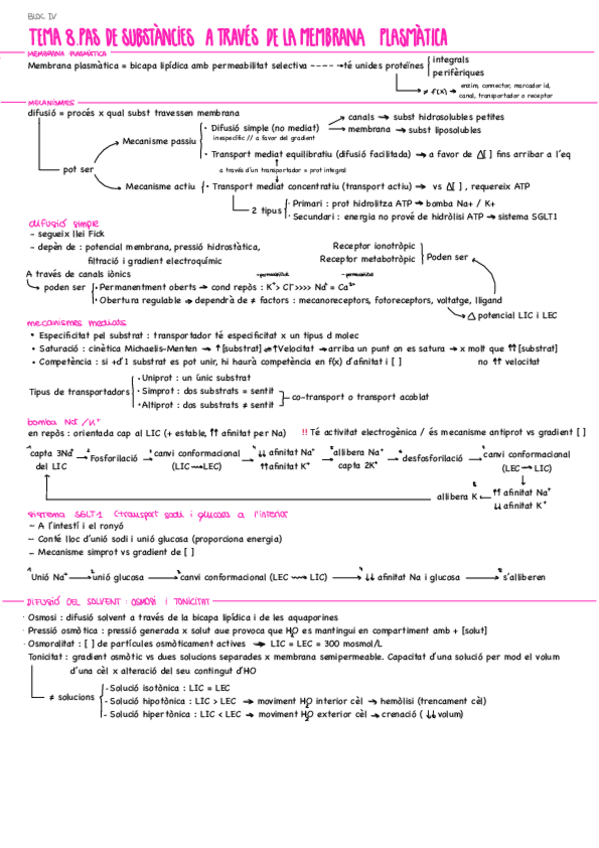Miniatura del documento Resum-temes-8-12.pdf