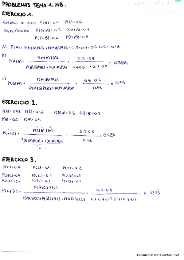 Miniatura del documento EjerciciosMB.pdf