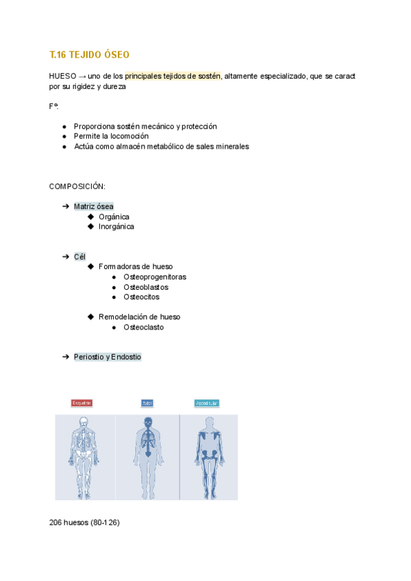 Miniatura del documento T.16-BIOLOGIA.pdf