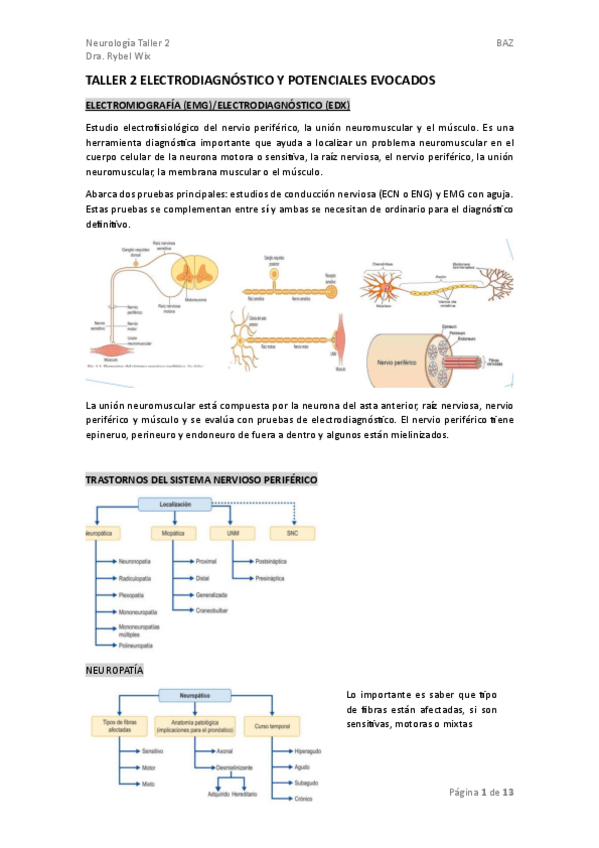 Miniatura del documento TALLER-2-NEURO.pdf