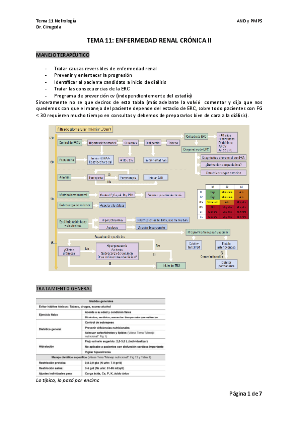 Miniatura del documento TEMA-11-nefro.pdf