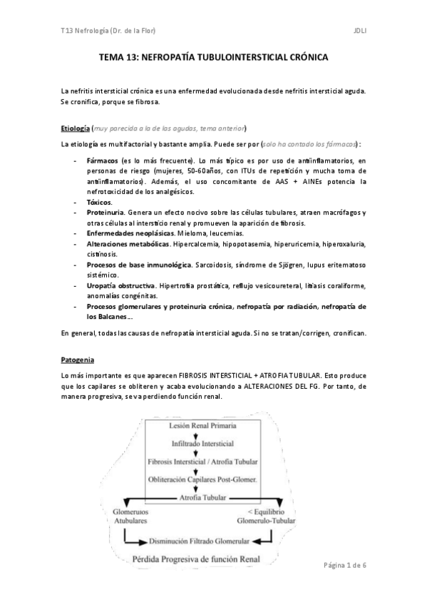 Miniatura del documento TEMA-13-nefro.pdf