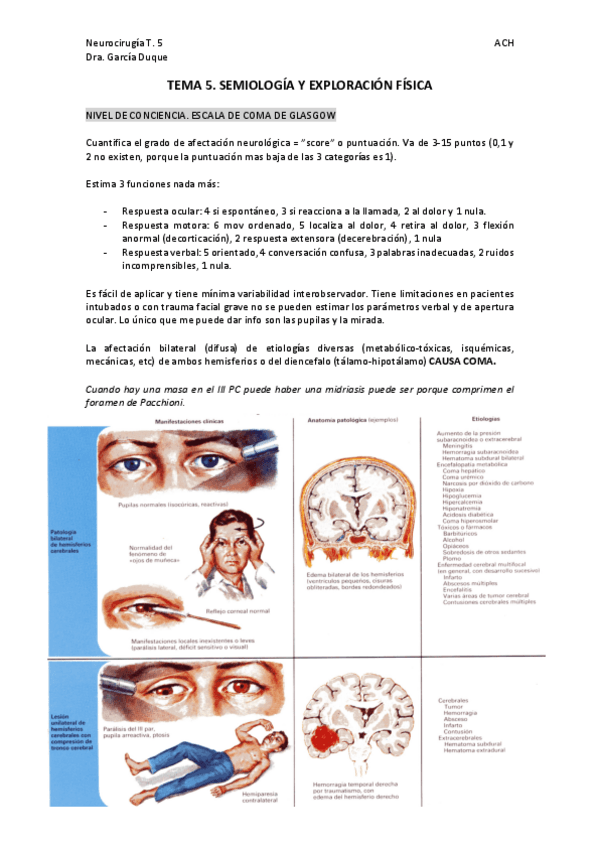 Miniatura del documento tema-5-neurocx.pdf
