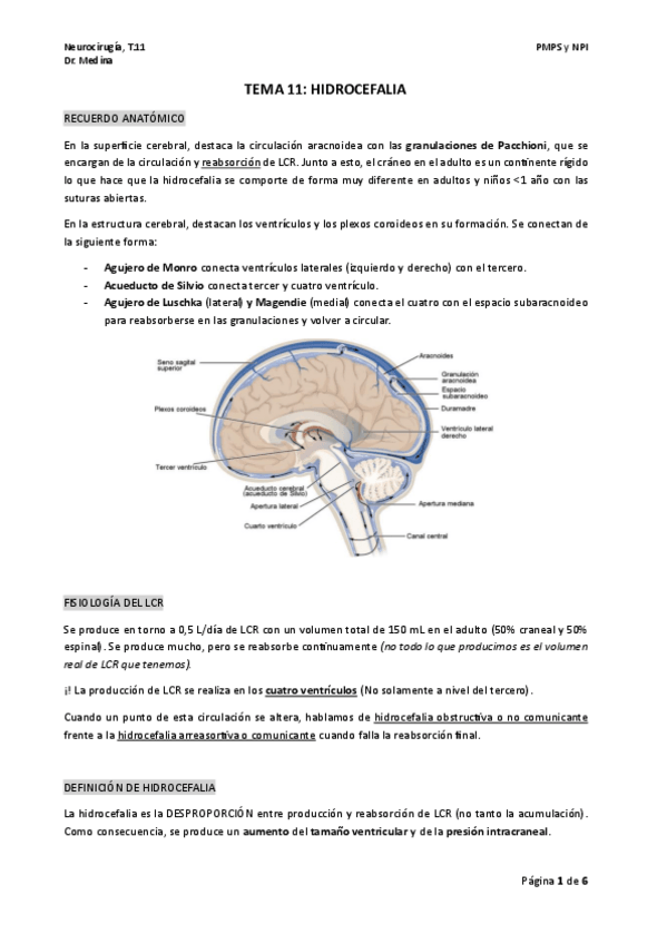 Miniatura del documento TEMA-11-neurocx-1.pdf