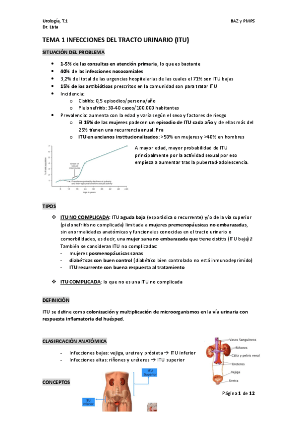 Miniatura del documento TEMA-1-uro.pdf