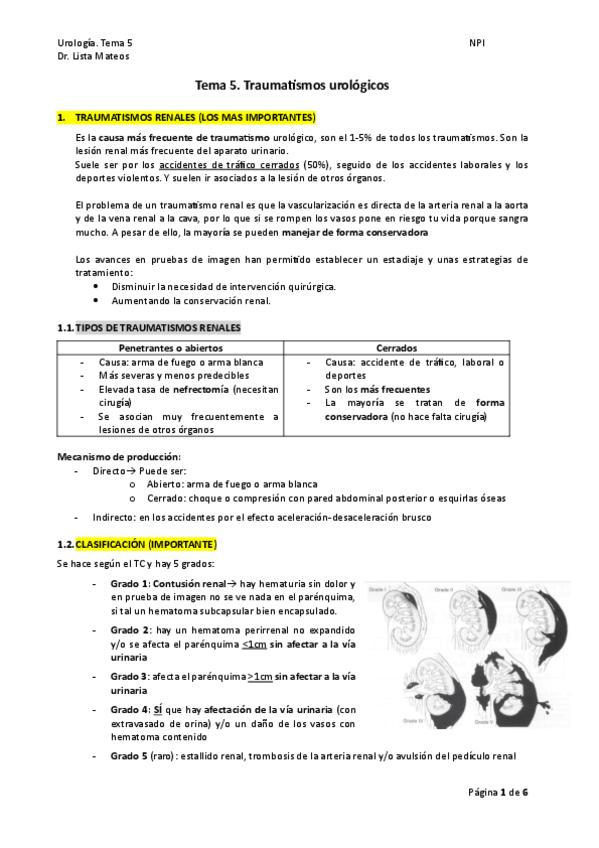 Miniatura del documento TEMA-5-uro.pdf