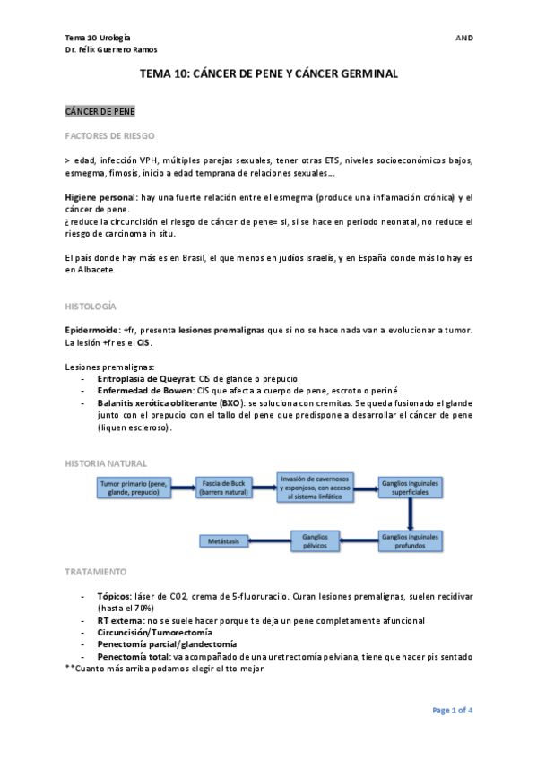 Miniatura del documento TEMA-10.pdf
