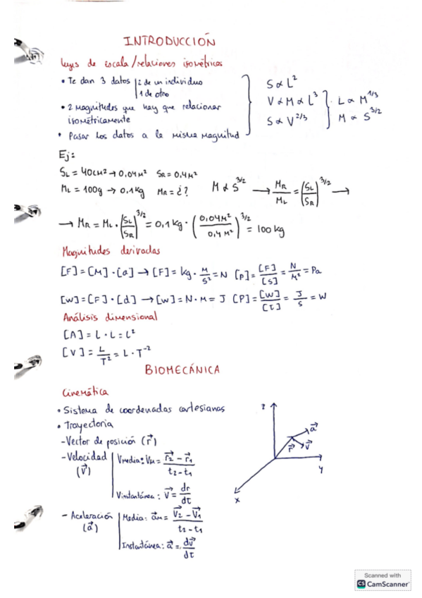 Miniatura del documento Introduccion-Biomecanica-y-circuitos.pdf
