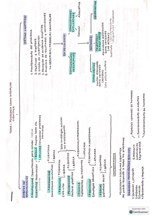 Miniatura del documento TEMARIO PROCESOS PSICOLÓGICOS BÁSICOS.pdf