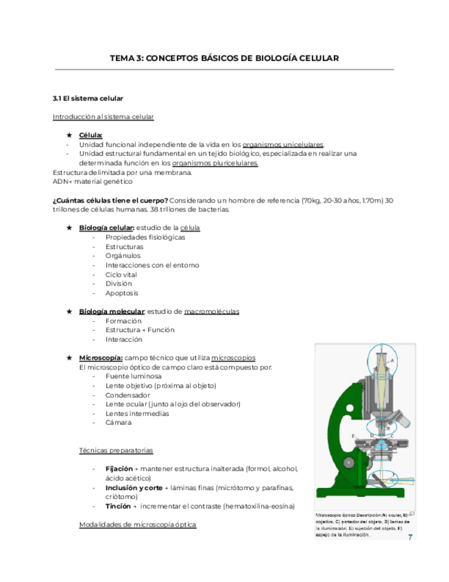 Miniatura del documento Tema-3.-Fundamentos-Biologicos.pdf
