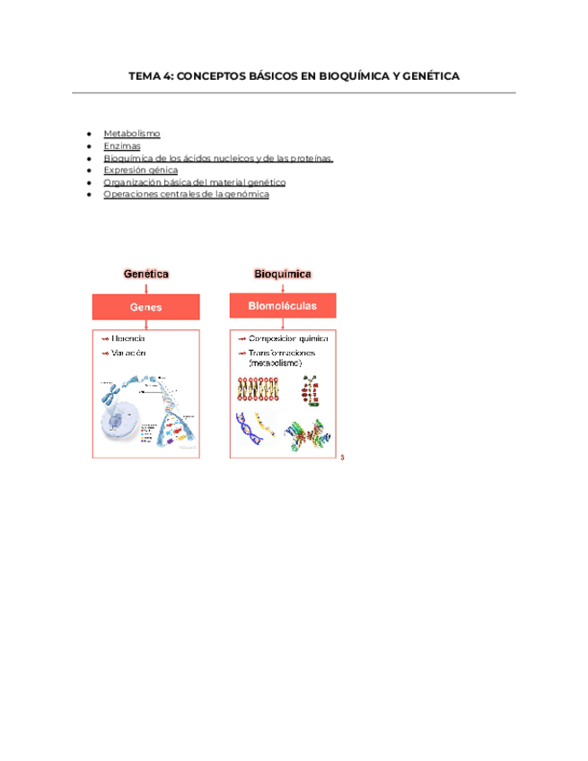 Miniatura del documento Tema-4.-Fundamentos-Biologicos.pdf