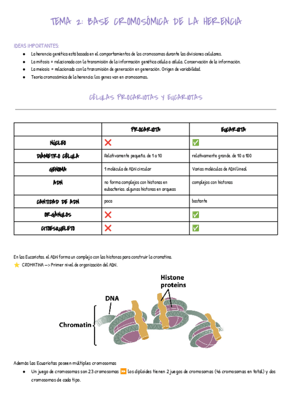 Miniatura del documento Genetica-Tema-2-1.pdf