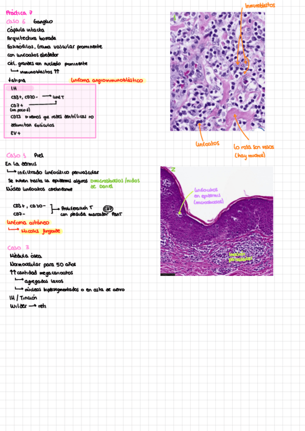 Miniatura del documento Practicas-AP-parte-II.pdf