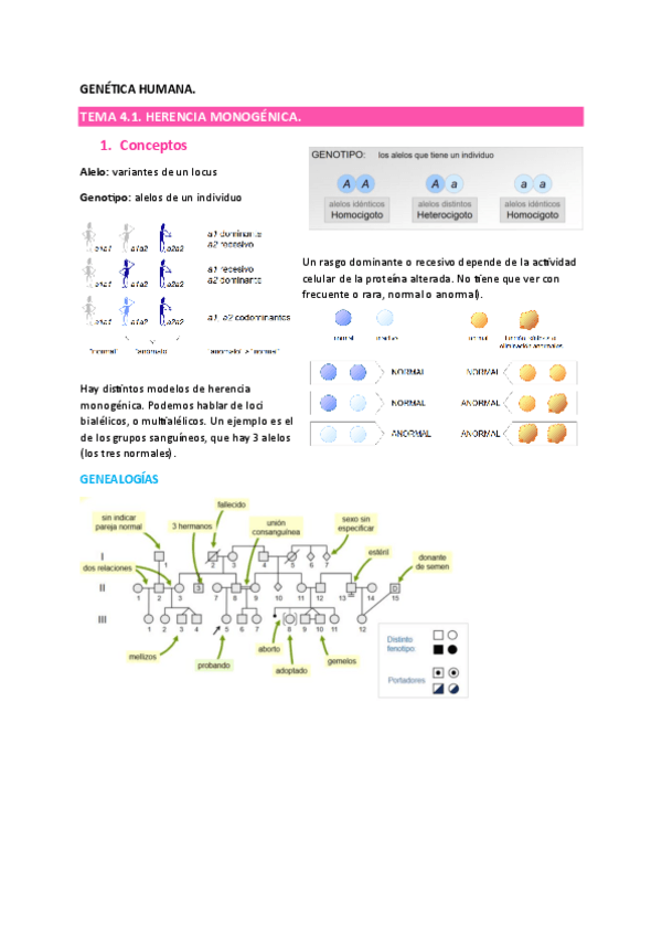 Miniatura del documento Herencia-y-factores-que-la-alteran.pdf