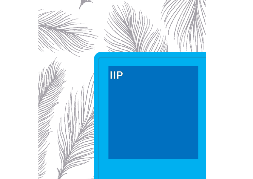 Miniatura del documento APUNTES-IIP.pdf