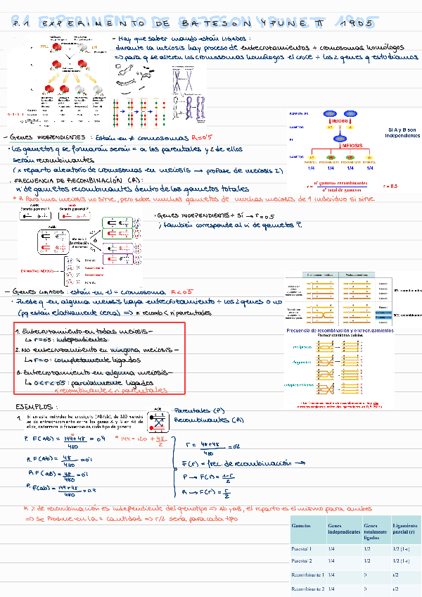 Miniatura del documento T4-HERENCIA-DE-GENES-LIGADOS bloque 2.pdf