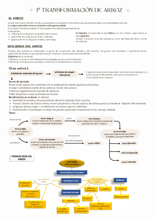 Miniatura del documento Primera-transformacion-del-arroz.pdf