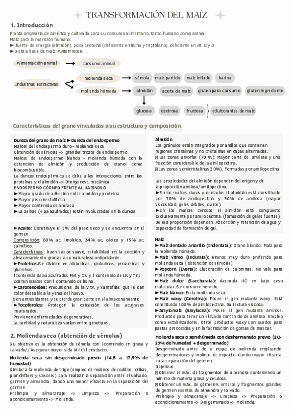 Miniatura del documento Transformacion-del-maiz.pdf