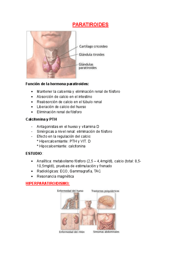 Miniatura del documento PARATIROIDES.pdf