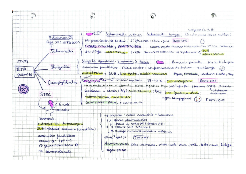 Miniatura del documento Esquemas-Seguridad (temas 6-11 al 21).pdf