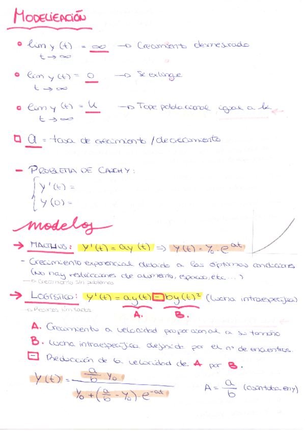 Miniatura del documento Modelización.pdf