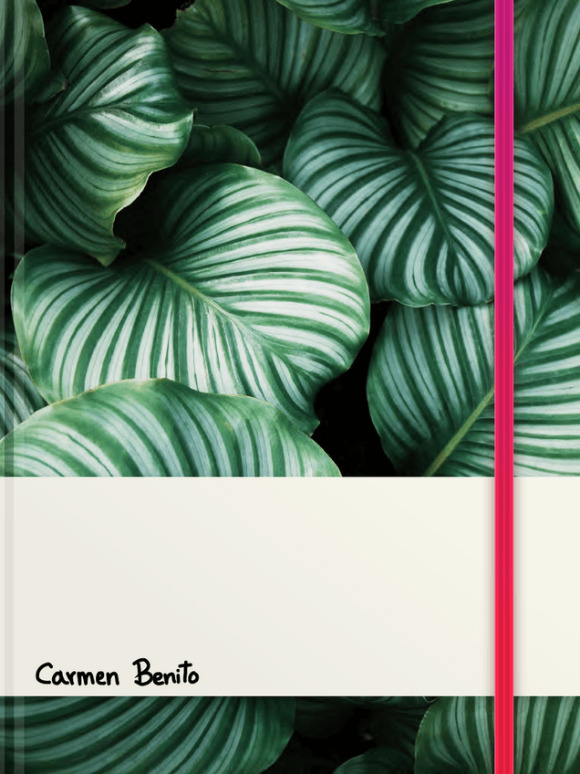 Miniatura del documento MDL1-UCM-APUNTES.pdf