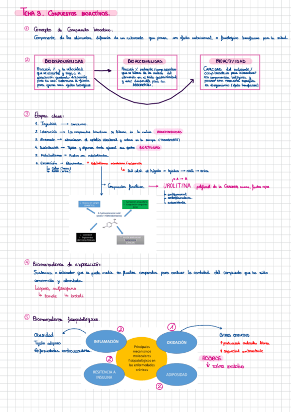 Miniatura del documento TEMA-3.-COMPUESTOS-BIOACTIVOS..pdf