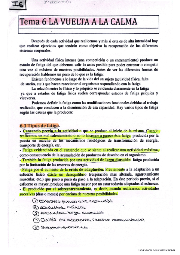 Miniatura del documento vuelta-a-la-calma.pdf