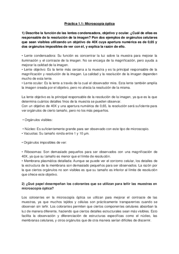 Miniatura del documento PRACTICA-1.docx