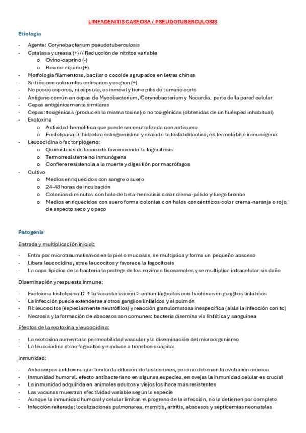Miniatura del documento 3er-parcial-infe-1.pdf