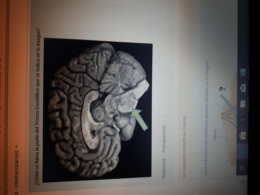 Miniatura del documento 1.9.jpg