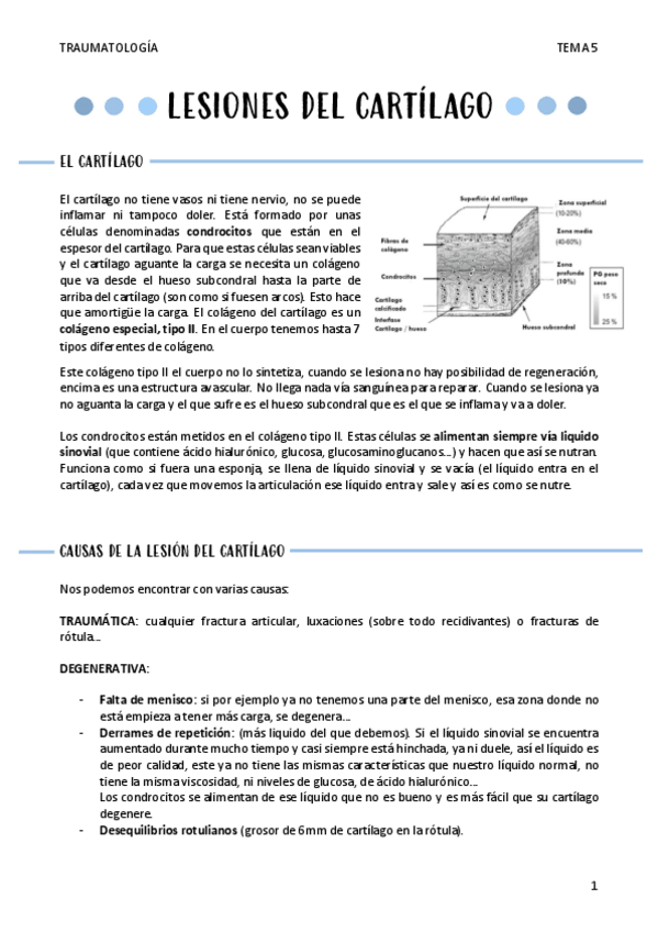 Miniatura del documento LESIONES-DEL-CARTILAGO-T5.pdf