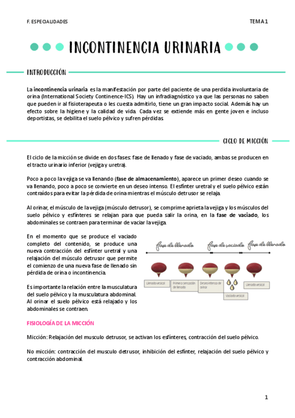 Miniatura del documento INCONTINENCIA-URINARIA-T1.pdf
