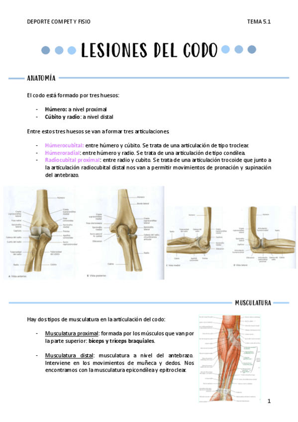 Miniatura del documento LESIONES-DEL-CODO-T5.1.pdf