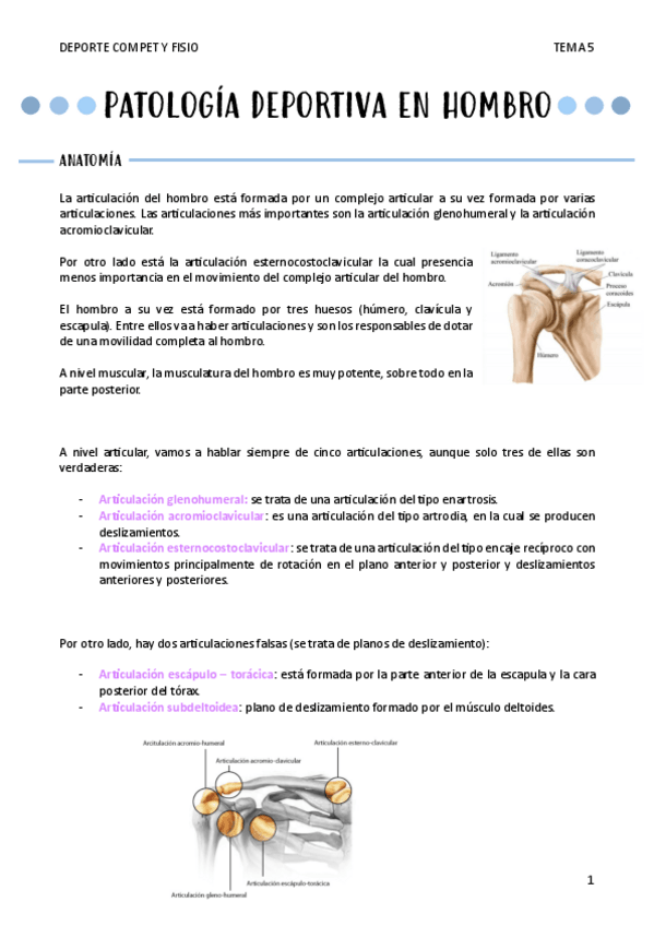 Miniatura del documento PATOLOGIA-DEPORTIVA-EN-HOMBRO-T5.pdf